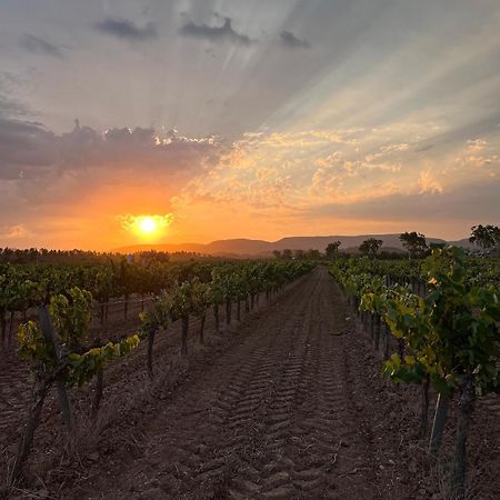 Cal Muntanyes Villa Font-Rubi Bagian luar foto