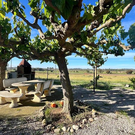 Cal Muntanyes Villa Font-Rubi Bagian luar foto